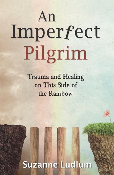 An Imperfect Pilgrim (eBook, ePUB)
