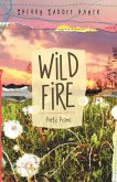 Wild Fire (eBook, ePUB)