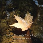 Healing Through Divine Light (eBook, ePUB)