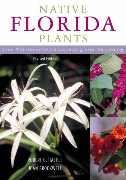 Native Florida Plants (eBook, ePUB) Native Florida Plants (eBook, ePUB)