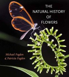 The Natural History of Flowers the Natural History of Flowers - Fogden, Michael; Fogden, Patricia