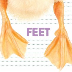 Feet - Crow, Katrine