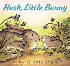 Hush, Little Bunny - Stein, David Ezra