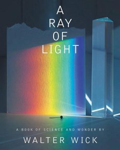 A Ray of Light - Wick, Walter