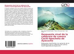 Respuesta nival de la cabecera de cuenca Cachi-Apacheta de Ayacucho