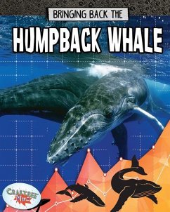 Bringing Back the Humpback Whale - Spence, Kelly