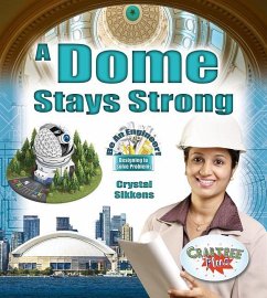 A Dome Stays Strong - Sikkens, Crystal