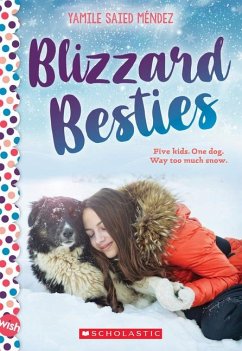 Blizzard Besties: A Wish Novel - Mendez, Yamile Saied