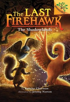 The Shadowlands: A Branches Book (the Last Firehawk #5) - Charman, Katrina