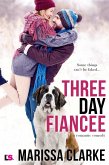 Three Day Fiancee (A Romantic Comedy) (eBook, ePUB)