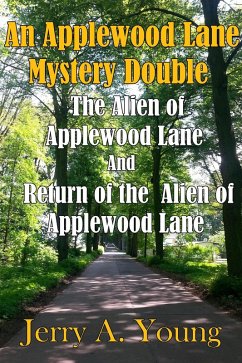 An Applewood Lane Mystery Double (eBook, ePUB) - Young, Jerry A