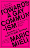 Towards a Gay Communism (eBook, ePUB)