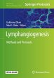 Lymphangiogenesis - Bild 1
