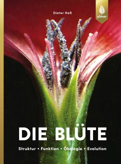 Die Blüte - Heß, Dieter