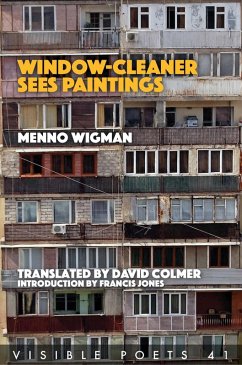 Cover Window Cleaner Sees Paintings (eBook, ePUB)