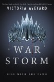 War Storm (eBook, ePUB)