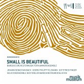 Small Is Beautiful-Barocke Orchestermusik