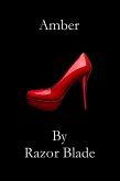 Amber (eBook, ePUB)