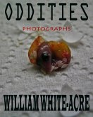 Oddities (eBook, ePUB)