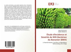 Étude d'Incidence et Sévérité de Wilt Bactérien du Bananier (BWX) - Sifa Kitumaini, Agnès;Shamavu M., Patient;Shamavu M., Ghyslain