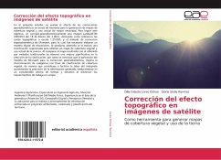 Corrección del efecto topográfico en imágenes de satélite - Lores Ochoa, Dilia Celeste;Ramírez, Gloria Stella