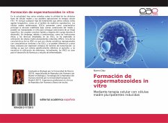 Formación de espermatozoides in vitro - Díaz, Noemi