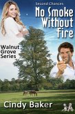 No Smoke Withoutout Fire (Walnut Grove, #3) (eBook, ePUB)