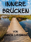 Innere Brücken (eBook, ePUB)