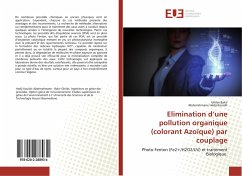 Elimination d¿une pollution organique (colorant Azoïque) par couplage - Bakir, Ghiles;Hadji Kouidri, Abderrahmane