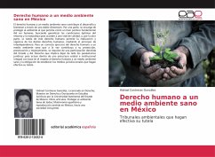 Derecho humano a un medio ambiente sano en México