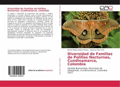 Diversidad de Familias de Polillas Nocturnas, Cundinamarca, Colombia