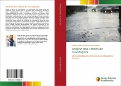 Análise dos Efeitos de Inundações - Teixeira de Albuquerque, Ytallo Rafaell