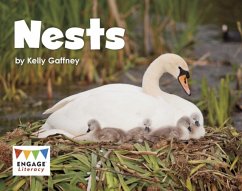 Nests - Gaffney, Kelly