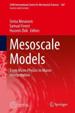 Mesoscale Models