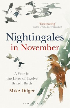 Nightingales in November - Dilger, Mike