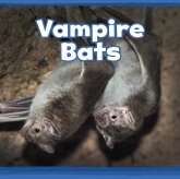 Vampire Bats