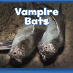 Vampire Bats - Clay, Kathryn