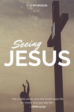 Cover Seeing Jesus (eBook, ePUB)