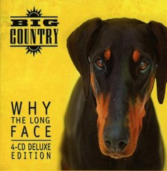 Why The Long Face (4cd Deluxe Expanded Box Set)