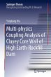 Multi-physics Coupling Analysis of... - Bild 1