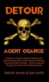 Detour: Agent Orange (eBook, ePUB)