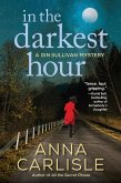 In the Darkest Hour (eBook, ePUB)