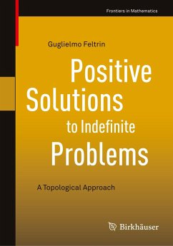 Positive Solutions to Indefinite Problems - Feltrin, Guglielmo