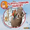Voll verschneit! / Professor Plumbums... - Bild 1