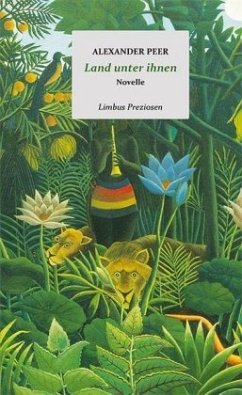 Cover Land unter ihnen