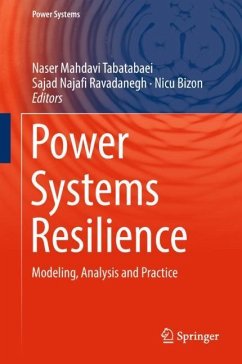 Power Systems Resilience