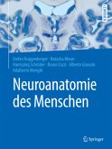 Neuroanatomie des Menschen