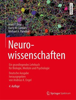 Neurowissenschaften - Bear, Mark F.;Connors, Barry W.;Paradiso, Michael A.