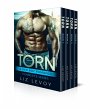 Torn 1-4 (eBook, ePUB) - Bild 1