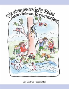 Die abenteuerliche Reise eines kleinen Regentropfens (eBook, ePUB) - Harzenetter, Gertrud